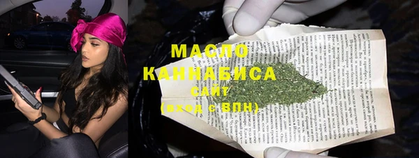 хмурый Мегион