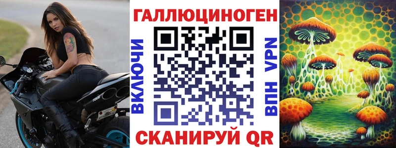 hydra зеркало  Чегем  Псилоцибиновые грибы Magic Shrooms 